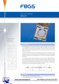 Strain-gage FBG-SG01 - singolo sensore